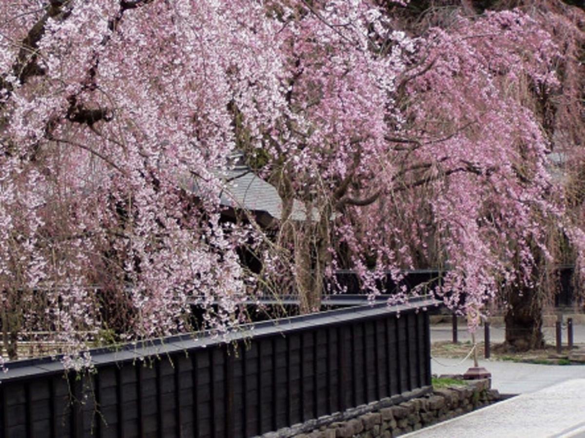 Tamachi Bukeyashiki Hotel - Vacation Stay 20163V Daiszen Kültér fotó