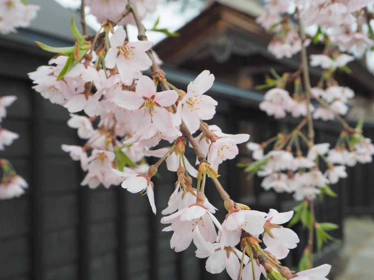 Tamachi Bukeyashiki Hotel - Vacation Stay 20163V Daiszen Kültér fotó